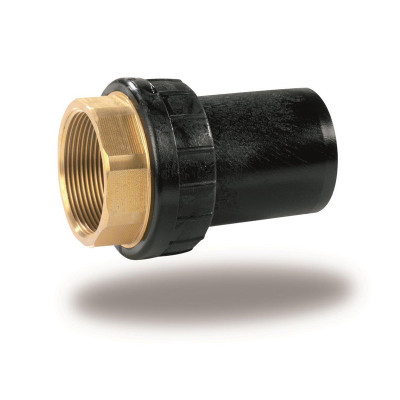 PE/BRASS FEMALE NPT THREADED ADAPTOR