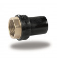 PE/BRASS NICKEL PLATED NPT FEMALE THREADED ADAPTOR