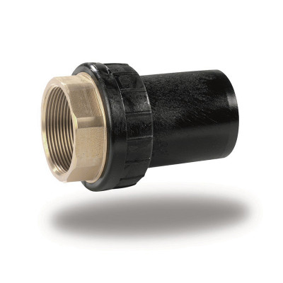 PE/BRASS NICKEL PLATED NPT FEMALE THREADED ADAPTOR